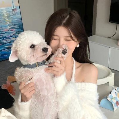 情感的宿命
